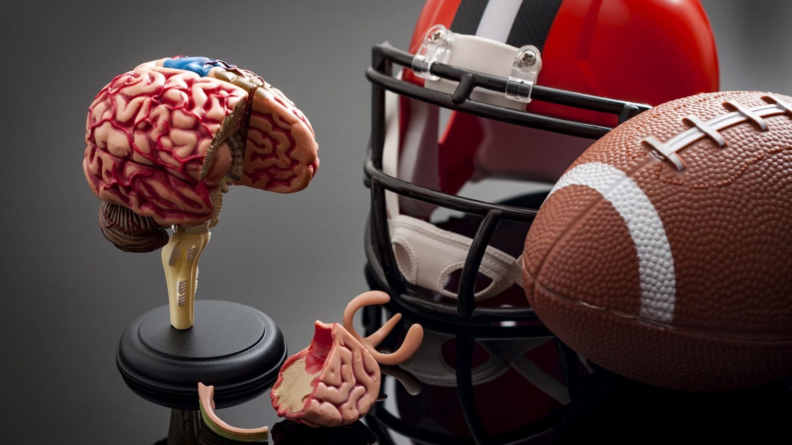 Model of a brain with a helmet and a ball